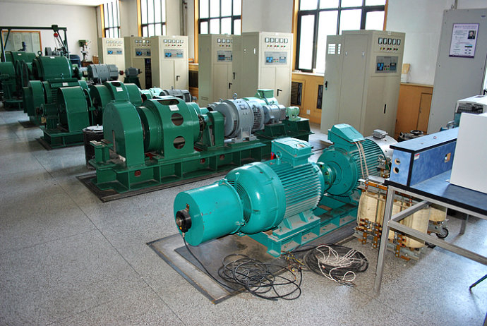国营金安农场某热电厂使用我厂的YKK高压电机提供动力